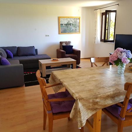 Apartment Monfiorenzo 11 Rovinj Bagian luar foto